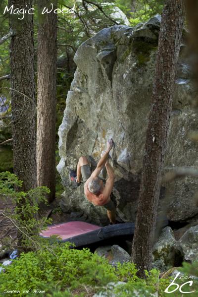 Felix in "Seven of Nine"